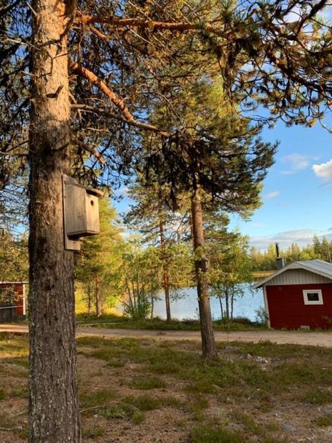 Off-Grid Cabin In Nattavaara Lapland Esterno foto