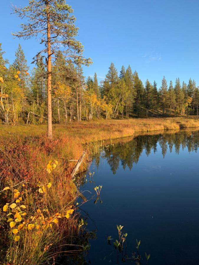 Off-Grid Cabin In Nattavaara Lapland Esterno foto