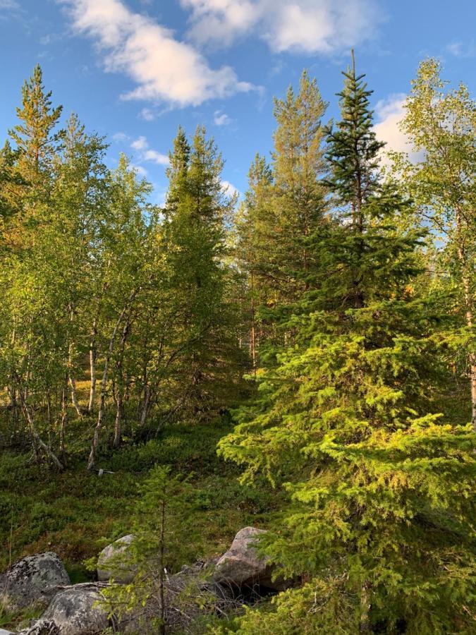 Off-Grid Cabin In Nattavaara Lapland Esterno foto