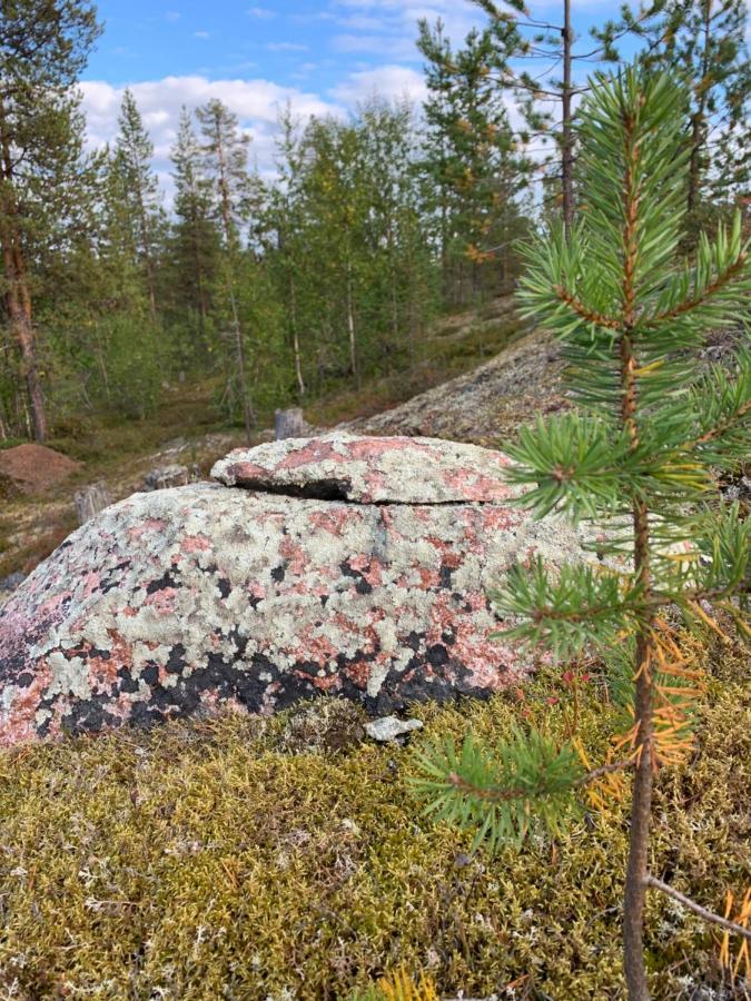 Off-Grid Cabin In Nattavaara Lapland Esterno foto