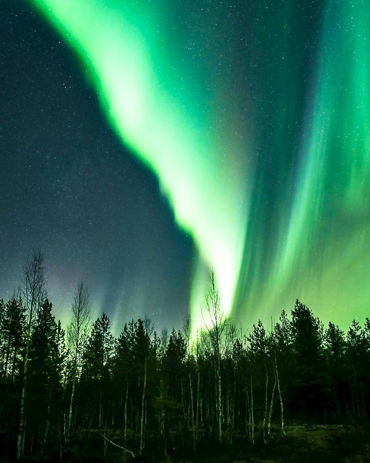 Off-Grid Cabin In Nattavaara Lapland Esterno foto