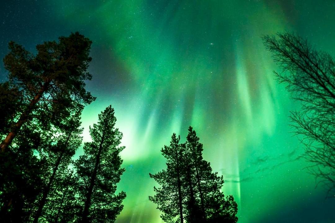 Off-Grid Cabin In Nattavaara Lapland Esterno foto
